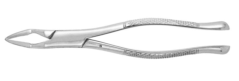 J&J Extracting Forceps #32A Ea