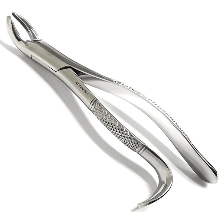 US Elite Extracting Forceps #24 Universal Ea