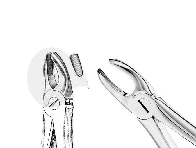US Elite Mead Extracting Forceps #MD2 Universal Ea